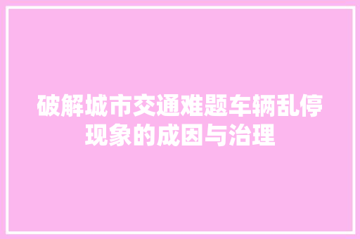 破解城市交通难题车辆乱停现象的成因与治理