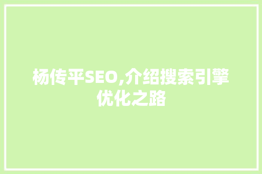 杨传平SEO,介绍搜索引擎优化之路