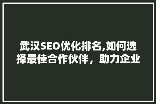 武汉SEO优化排名,如何选择最佳合作伙伴，助力企业腾飞