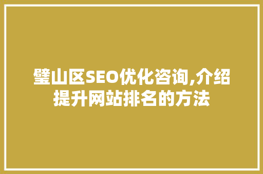 璧山区SEO优化咨询,介绍提升网站排名的方法