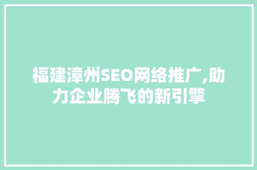 福建漳州SEO网络推广,助力企业腾飞的新引擎