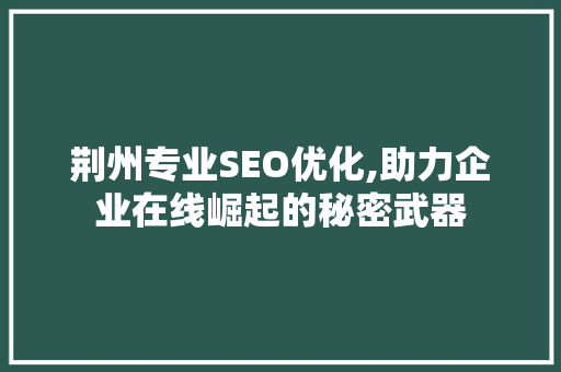 荆州专业SEO优化,助力企业在线崛起的秘密武器