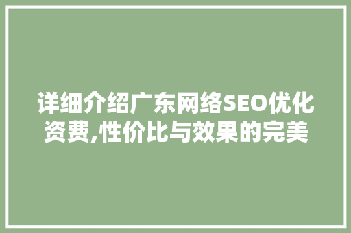详细介绍广东网络SEO优化资费,性价比与效果的完美平衡