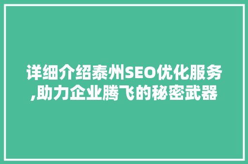 详细介绍泰州SEO优化服务,助力企业腾飞的秘密武器
