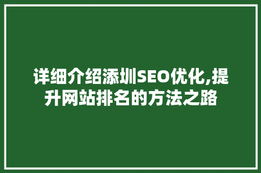 详细介绍添圳SEO优化,提升网站排名的方法之路