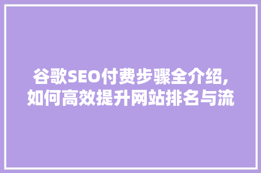 谷歌SEO付费步骤全介绍,如何高效提升网站排名与流量