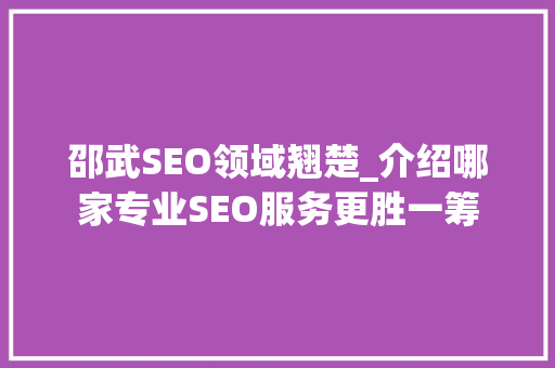 邵武SEO领域翘楚_介绍哪家专业SEO服务更胜一筹