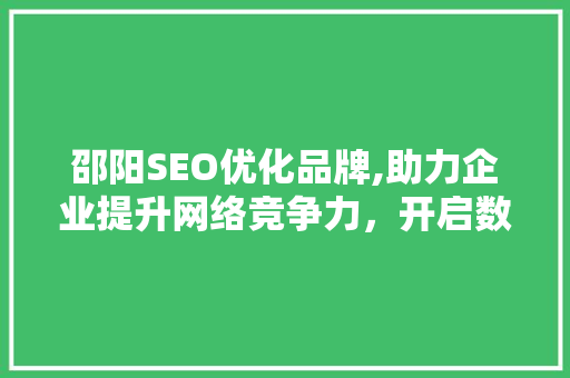 邵阳SEO优化品牌,助力企业提升网络竞争力，开启数字营销新篇章