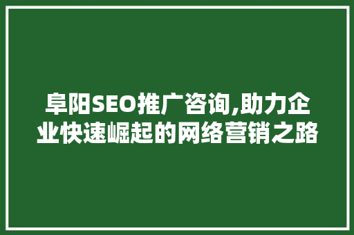 阜阳SEO推广咨询,助力企业快速崛起的网络营销之路