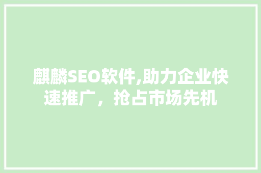 麒麟SEO软件,助力企业快速推广，抢占市场先机