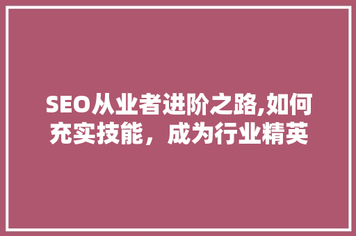 SEO从业者进阶之路,如何充实技能，成为行业精英
