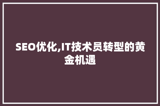 SEO优化,IT技术员转型的黄金机遇