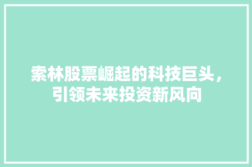 索林股票崛起的科技巨头，引领未来投资新风向