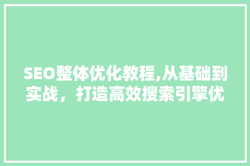 SEO整体优化教程,从基础到实战，打造高效搜索引擎优化步骤