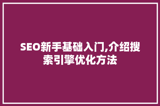 SEO新手基础入门,介绍搜索引擎优化方法
