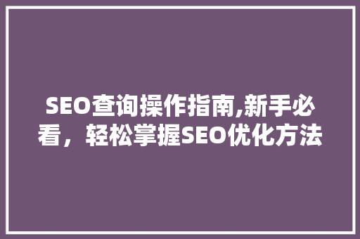 SEO查询操作指南,新手必看，轻松掌握SEO优化方法