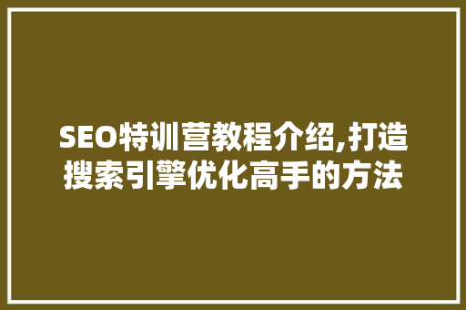 SEO特训营教程介绍,打造搜索引擎优化高手的方法