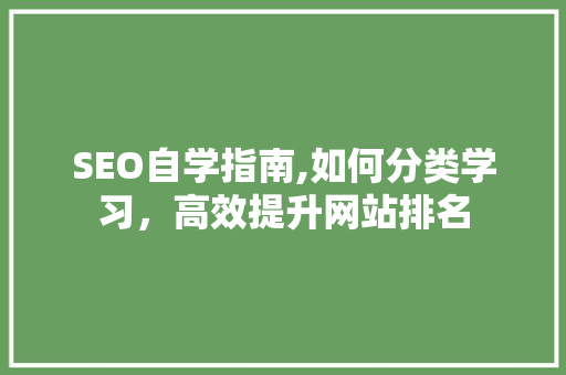 SEO自学指南,如何分类学习，高效提升网站排名