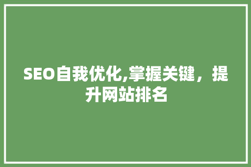 SEO自我优化,掌握关键，提升网站排名