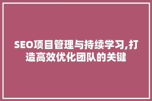 SEO项目管理与持续学习,打造高效优化团队的关键