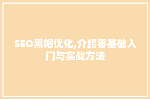 SEO黑帽优化,介绍零基础入门与实战方法