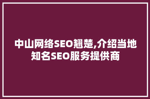 中山网络SEO翘楚,介绍当地知名SEO服务提供商