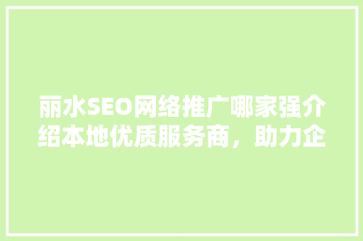 丽水SEO网络推广哪家强介绍本地优质服务商，助力企业腾飞！