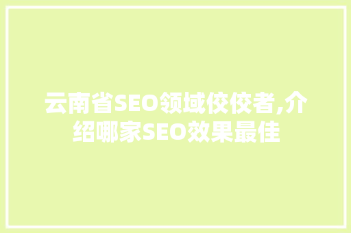 云南省SEO领域佼佼者,介绍哪家SEO效果最佳