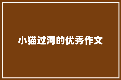 介绍SEO优化外包行业,哪个品牌值得信赖