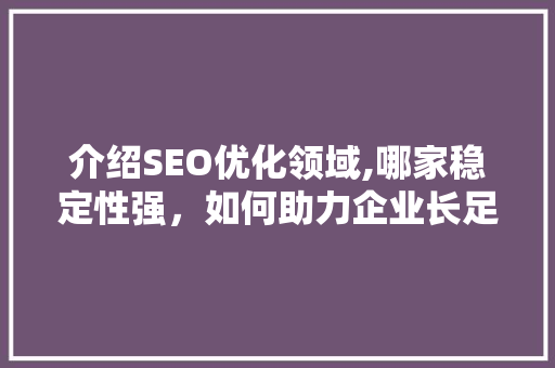 介绍SEO优化领域,哪家稳定性强，如何助力企业长足发展