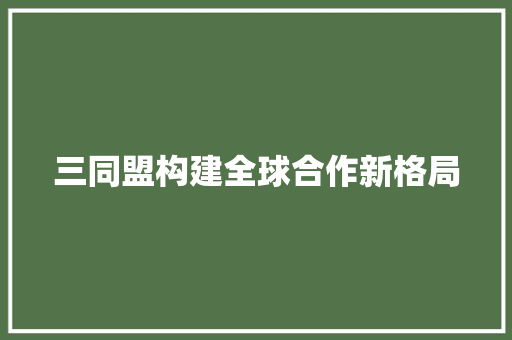 三同盟构建全球合作新格局