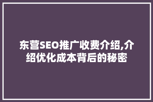 东营SEO推广收费介绍,介绍优化成本背后的秘密
