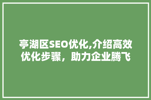 亭湖区SEO优化,介绍高效优化步骤，助力企业腾飞  第1张