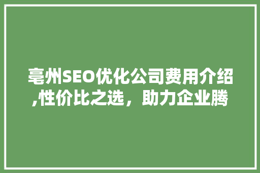 亳州SEO优化公司费用介绍,性价比之选，助力企业腾飞  第1张