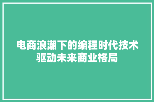 电商浪潮下的编程时代技术驱动未来商业格局