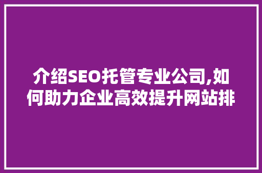 介绍SEO托管专业公司,如何助力企业高效提升网站排名