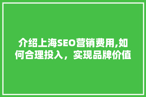 介绍上海SEO营销费用,如何合理投入，实现品牌价值最大化