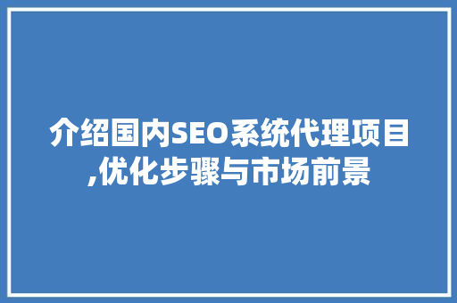 介绍国内SEO系统代理项目,优化步骤与市场前景
