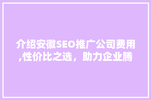 介绍安徽SEO推广公司费用,性价比之选，助力企业腾飞