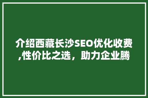 介绍西藏长沙SEO优化收费,性价比之选，助力企业腾飞
