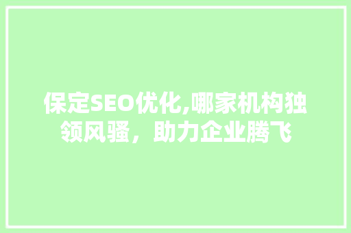保定SEO优化,哪家机构独领风骚，助力企业腾飞