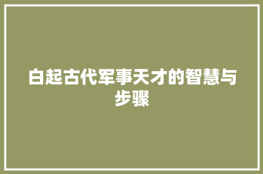 白起古代军事天才的智慧与步骤