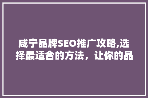 咸宁品牌SEO推广攻略,选择最适合的方法，让你的品牌脱颖而出
