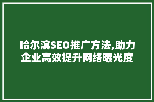 哈尔滨SEO推广方法,助力企业高效提升网络曝光度