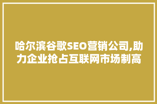 哈尔滨谷歌SEO营销公司,助力企业抢占互联网市场制高点