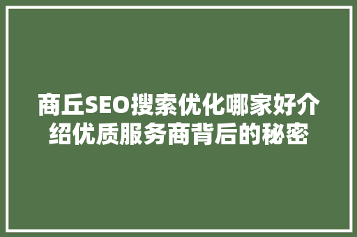 商丘SEO搜索优化哪家好介绍优质服务商背后的秘密