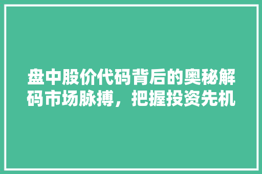 盘中股价代码背后的奥秘解码市场脉搏，把握投资先机