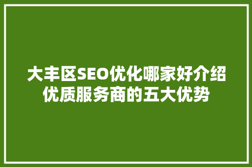 大丰区SEO优化哪家好介绍优质服务商的五大优势