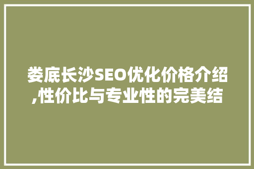 娄底长沙SEO优化价格介绍,性价比与专业性的完美结合