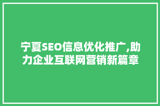 宁夏SEO信息优化推广,助力企业互联网营销新篇章